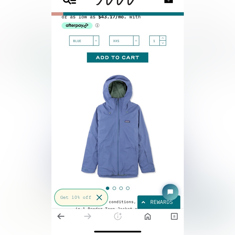 Patagonia Blue Jacket